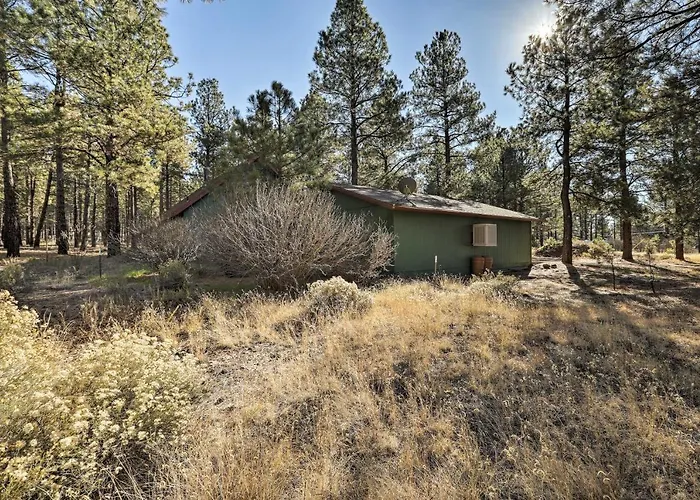 Family-friendly Forested With Snow Play Area! *